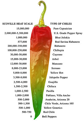 New Mexico Red Chile Pepper | Red Hot Chili Peppers | Chiles