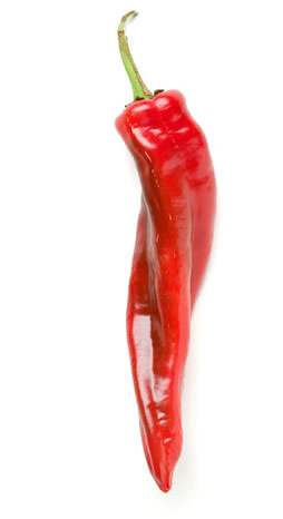 Arizona20 red chile pepper copyright AZP Worldwide / All Rights Reserved